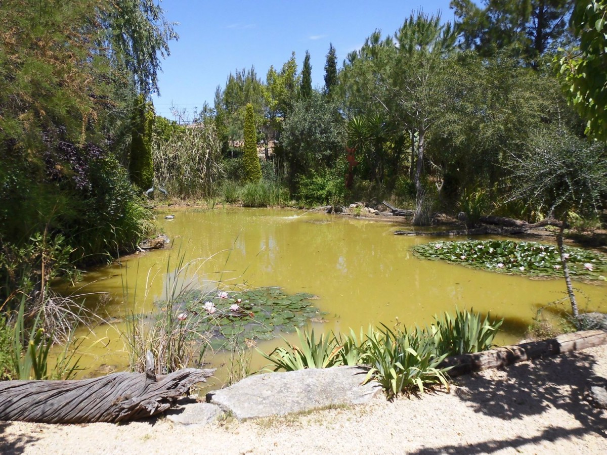 L'étang dans le jardin du moulin