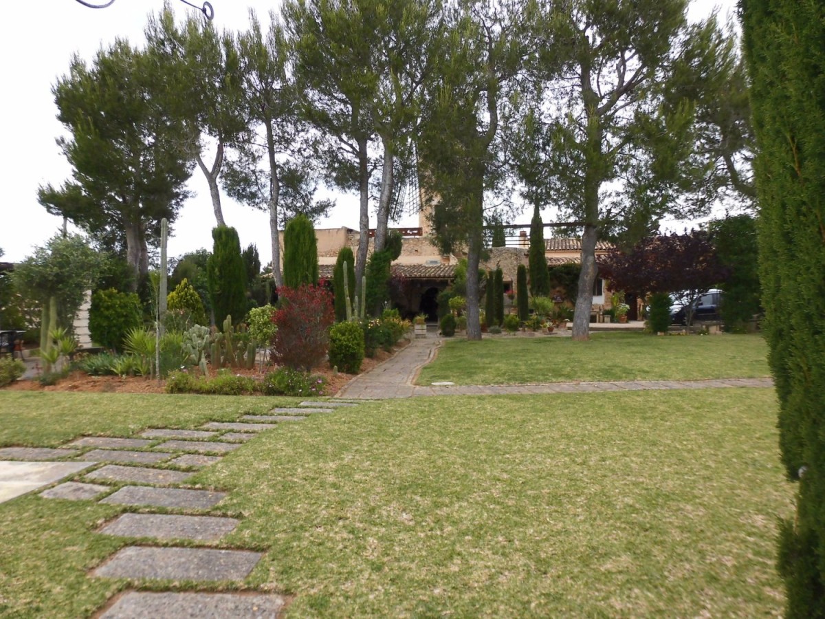 Le jardin