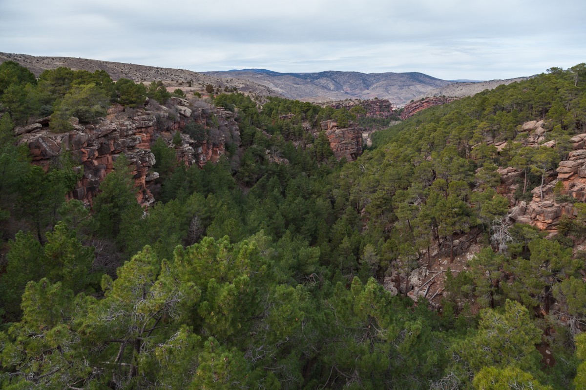 Sierra de Albarracín on täynnä luonnon ihmeitä / Wikipedia Sierra de Albarracín on täynnä luonnon ihmeitä / Wikipedia