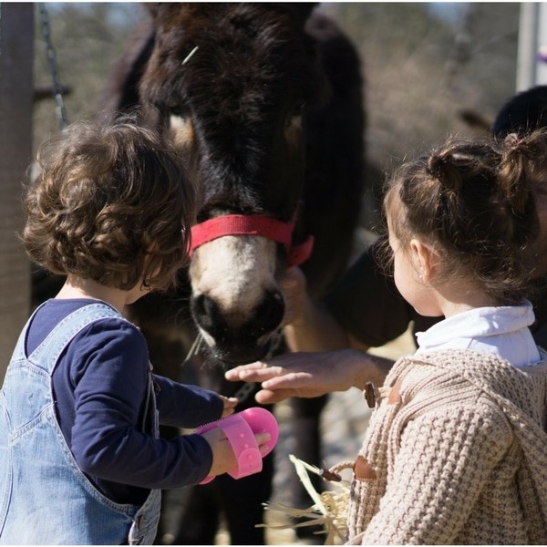 Navidad con niños: nueve planes chulos en Madrid que quizás no conozcas (y no debes perderte)