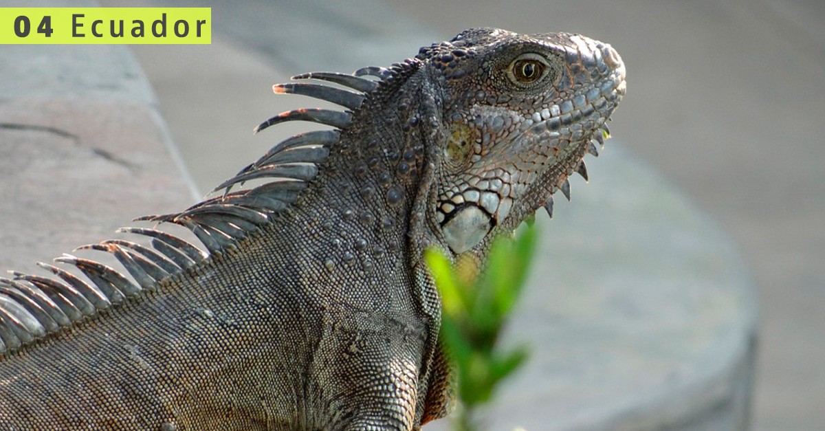 Los 10 mejores países para disfrutar de la jubilación y España es uno de ellos