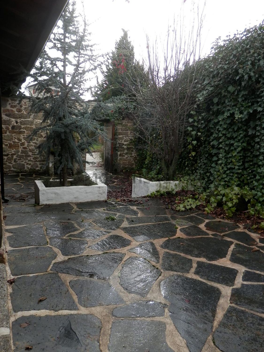 Jardín jardin2