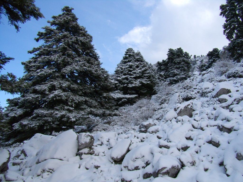 Snow in Malaga 