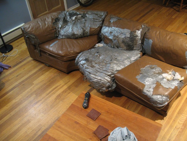 sofa