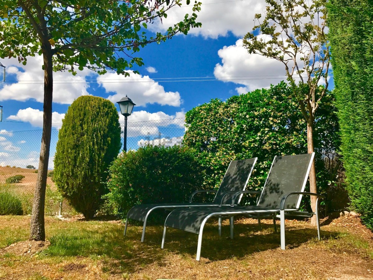 jardin