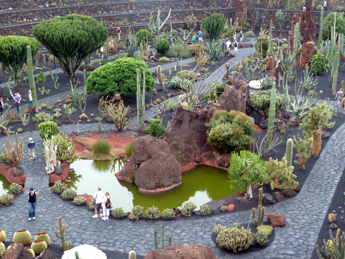 jardin_de_cactus