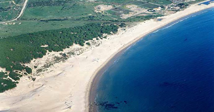 Playa Bolonia, Кадис / mapama.gob.es