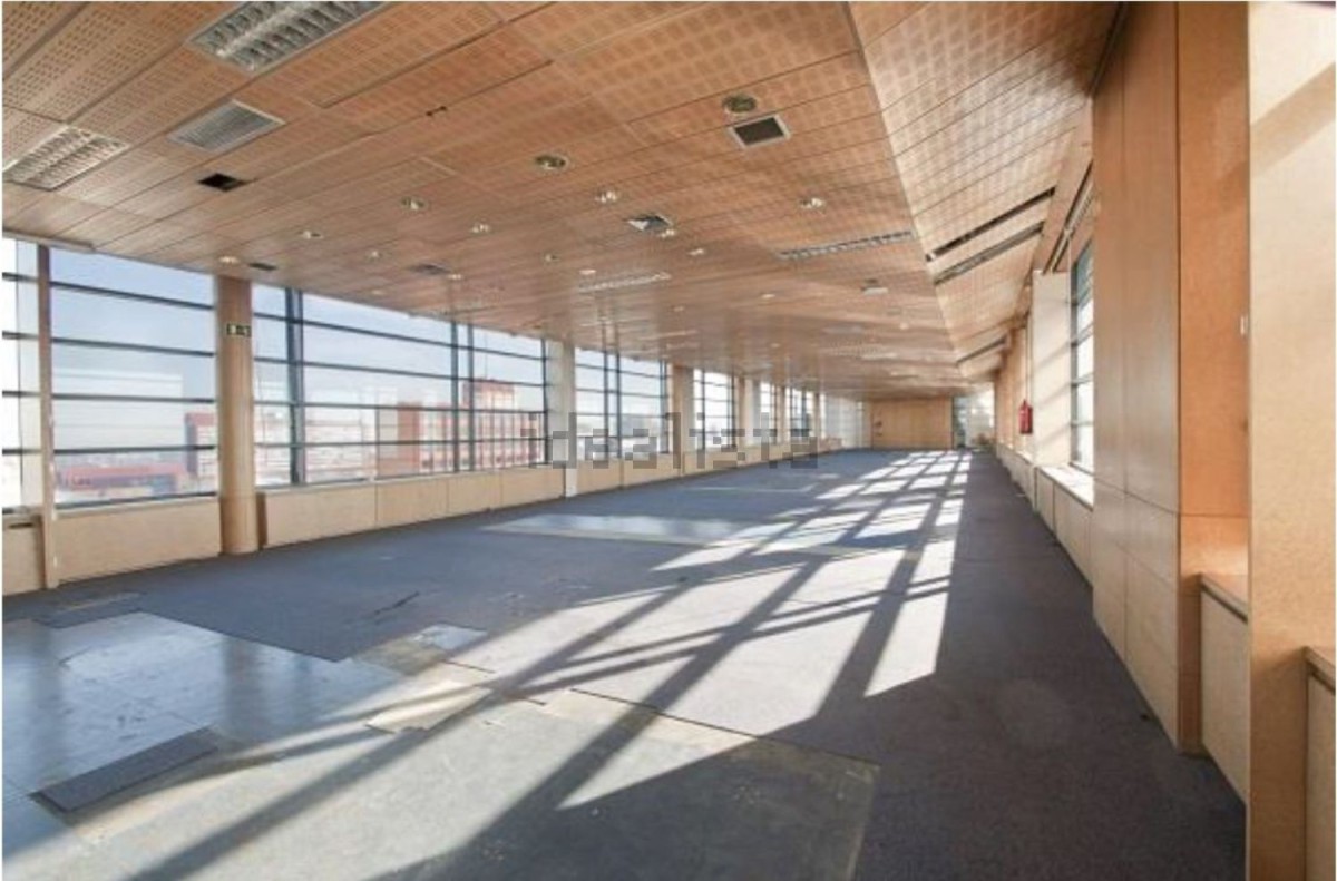 Tienen unos 600 m2 de superficie