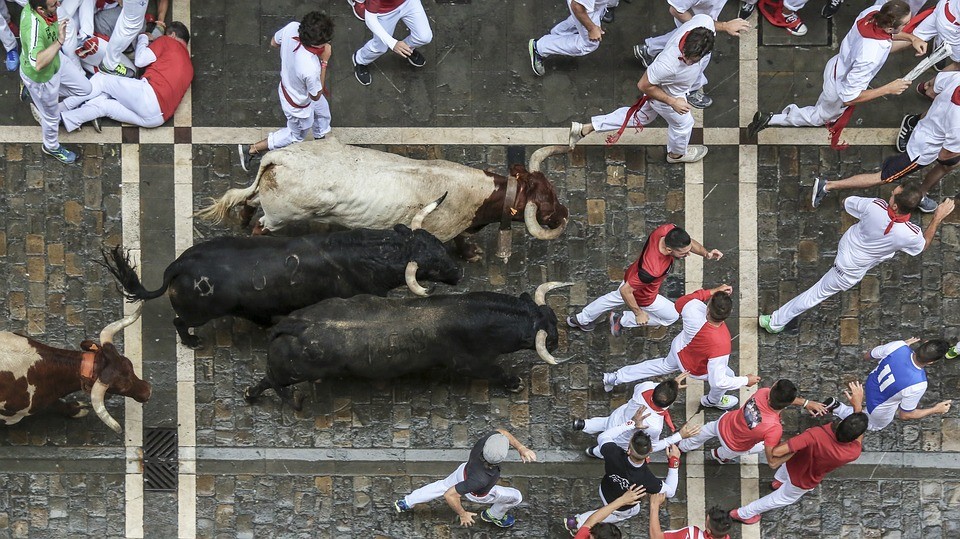 Cursele cu tauri, Pamplona