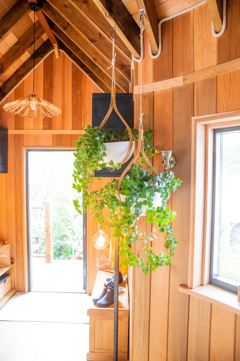 La baza de las plantas colgantes