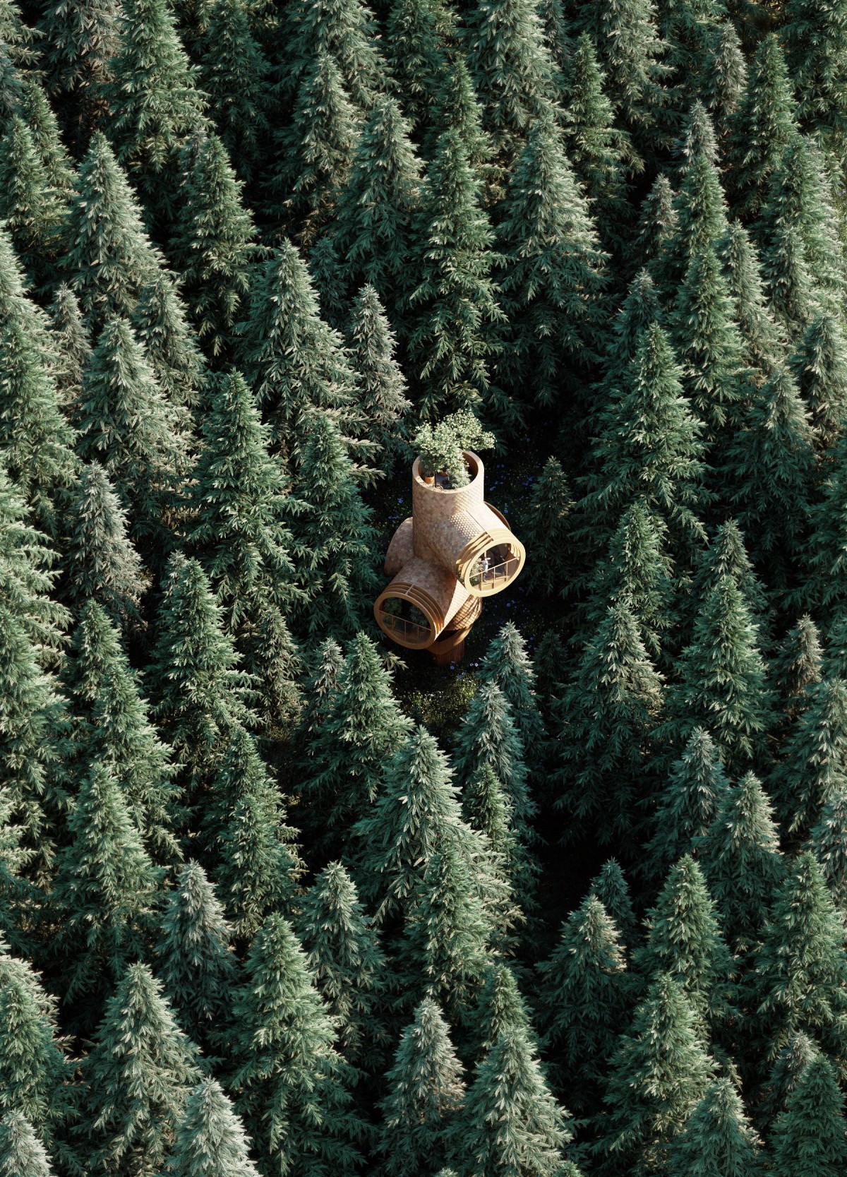 Se camufla en el entorno natural