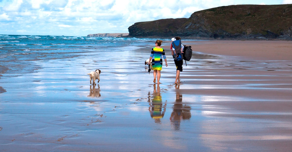 Beaches that allow dogs for your holiday / pixabay.com/es/users/stux-12364/