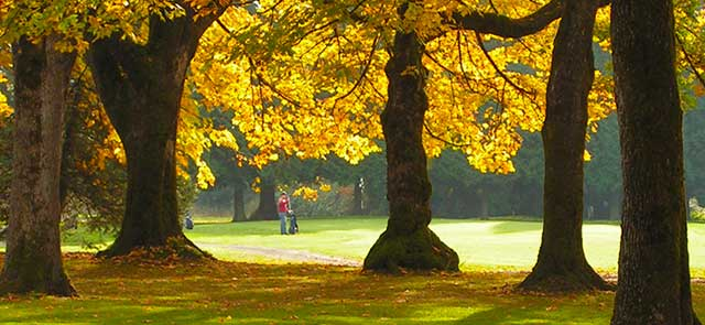El 8% de la población usa la bici de transporte habitual