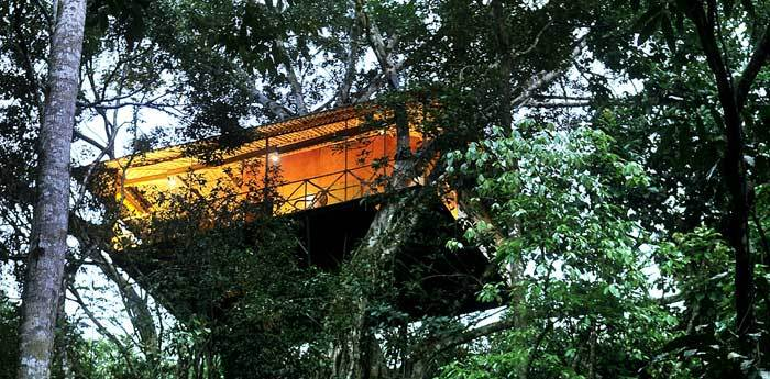 vythiri_resort-india