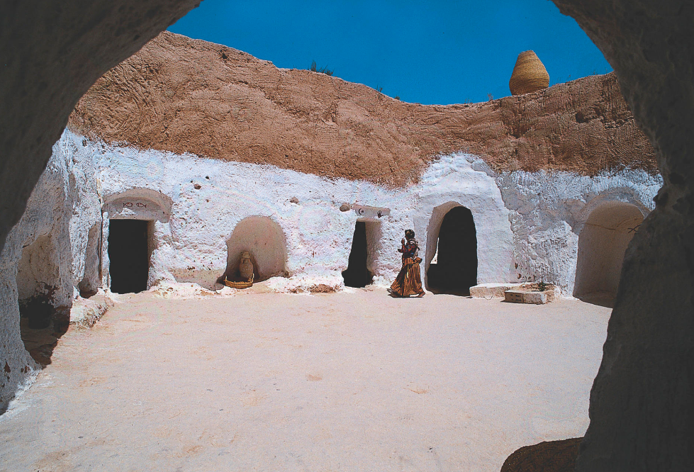 Facilita la vida en comunidad y la defensa 