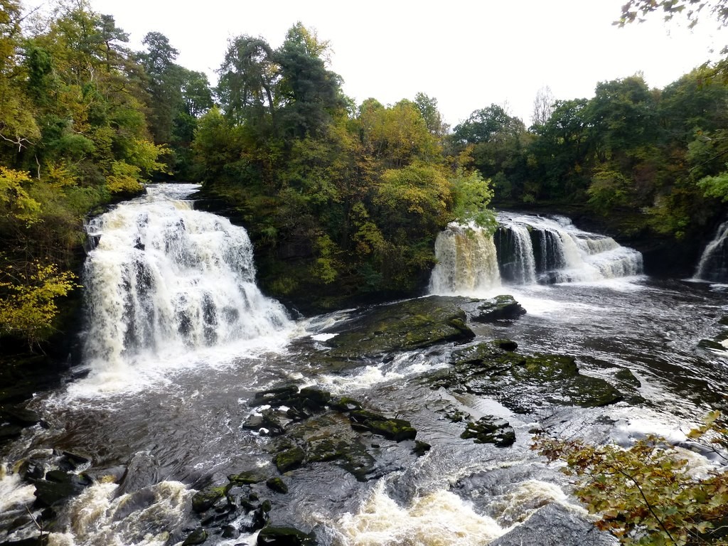 cora_linn_south_lanarkshire