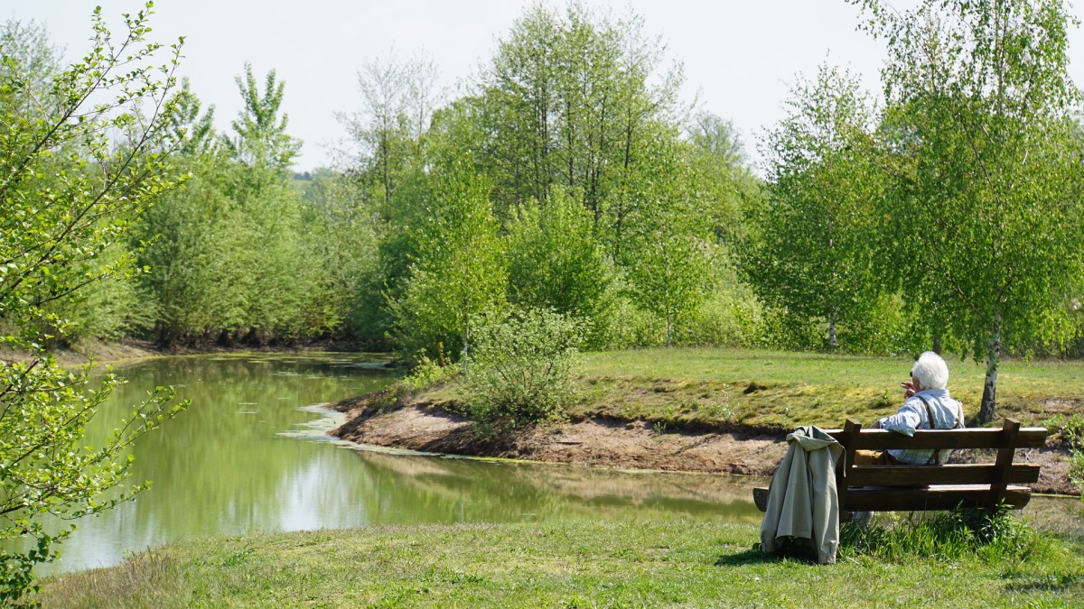 El BCE avisa: el shock del envejecimiento de la población llegará en 2040 y no estamos preparados