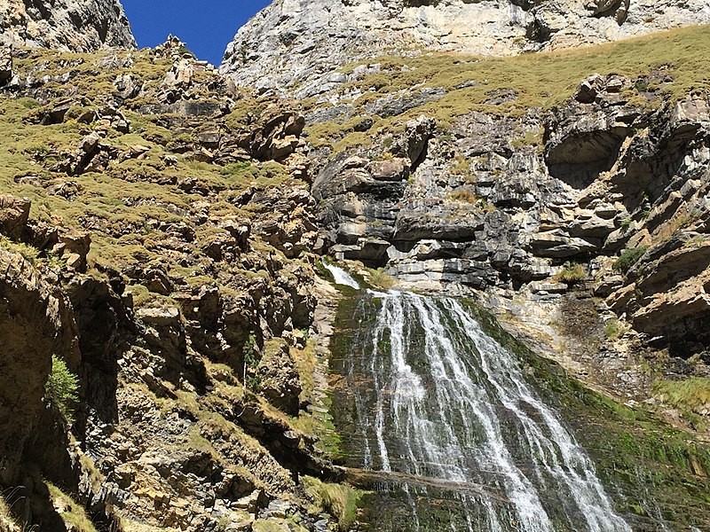 Wikimedia commons