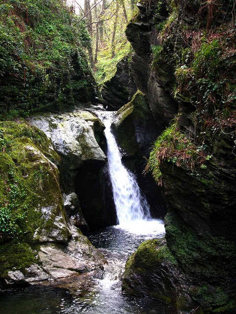 Wikimedia commons