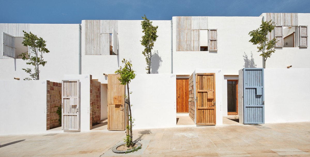 posidonia_formentera_3