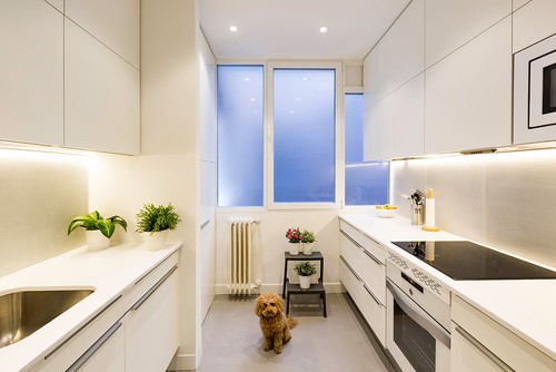 Projecte: La Reina Obrera