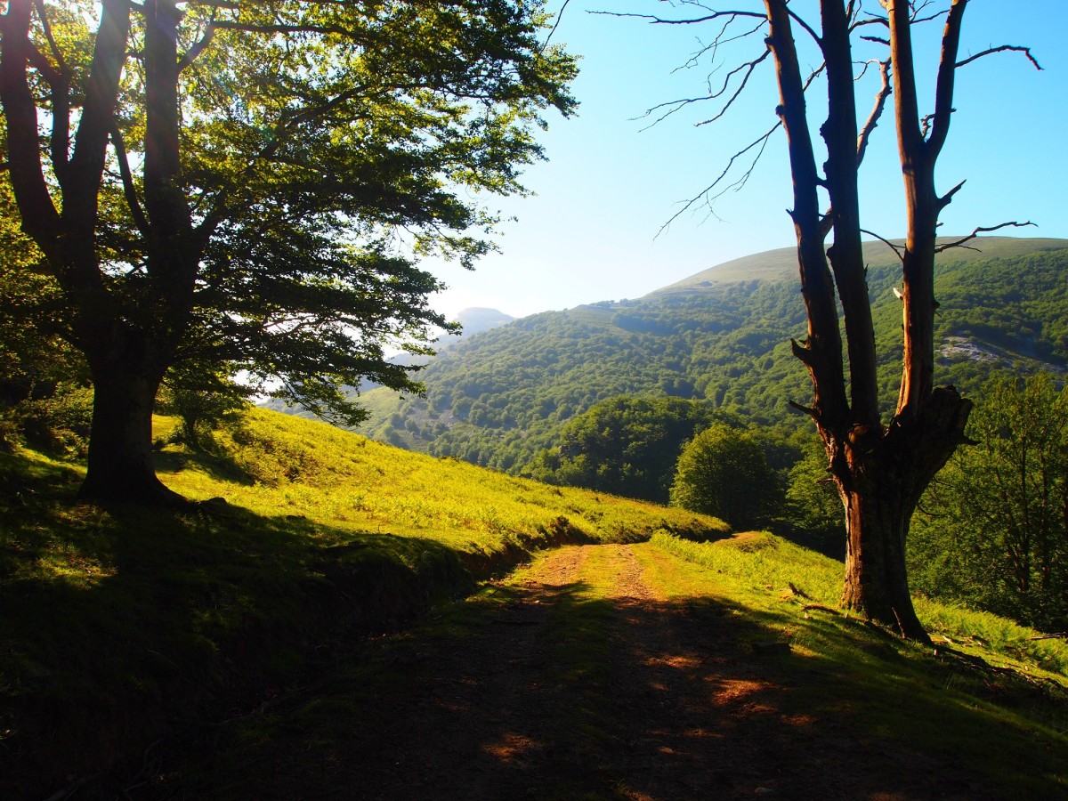 Vista del Parco Naturale di Gorbea / Wikimedia commons