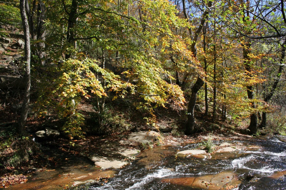 Parco Naturale di Montseny in autunno / flickr.com/photos/32360497@N03/