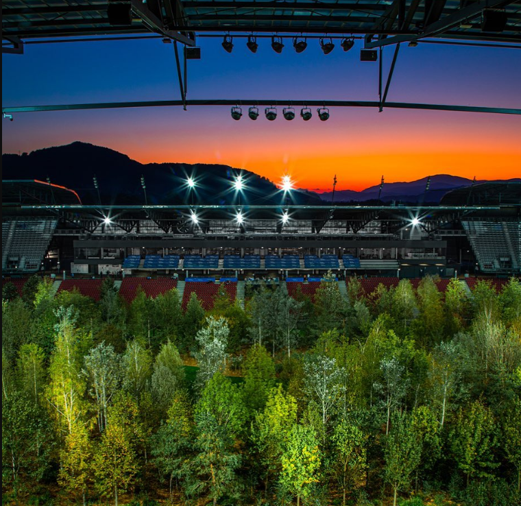 Tras la clausura, los árboles han sido trasplantados