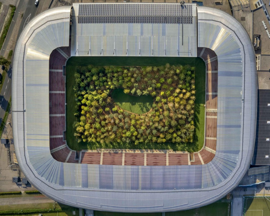 Tienen distintos tamaños y algunos pesan más de seis toneladas