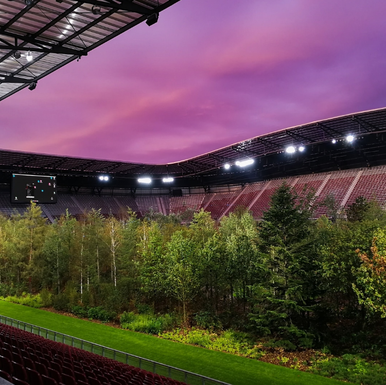 Quería transmitir que la naturaleza estaba en peligro