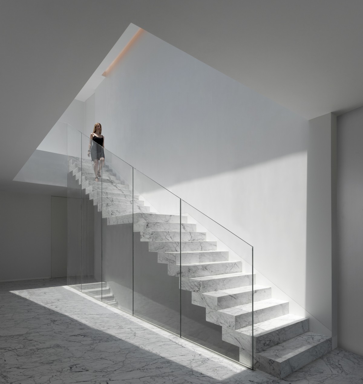 Para comunicar las plantas