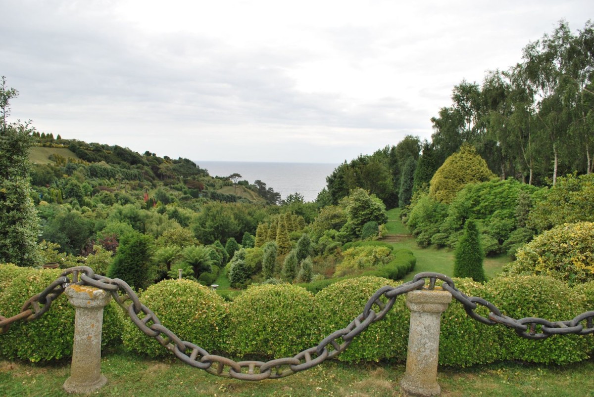 View from the house into the garden