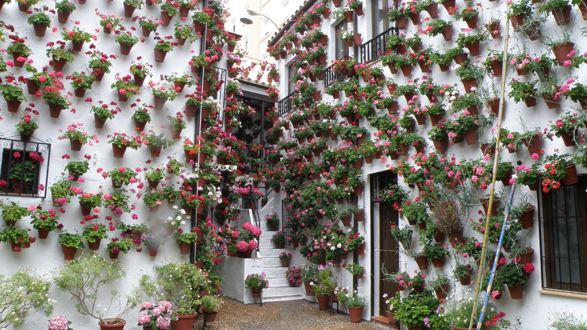 Este Natal, visita os "patios de Córdoba" / Wikipedia