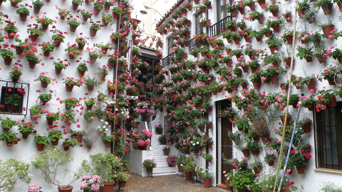 Visit the "patios de Córdoba" during Christmas 