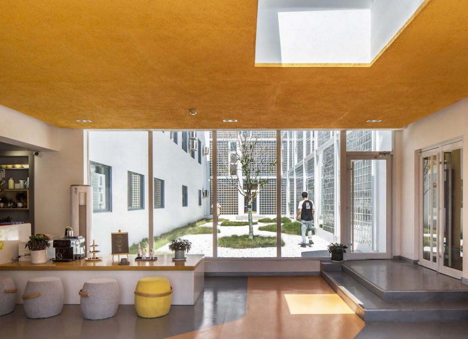 Mucho color y luz natural