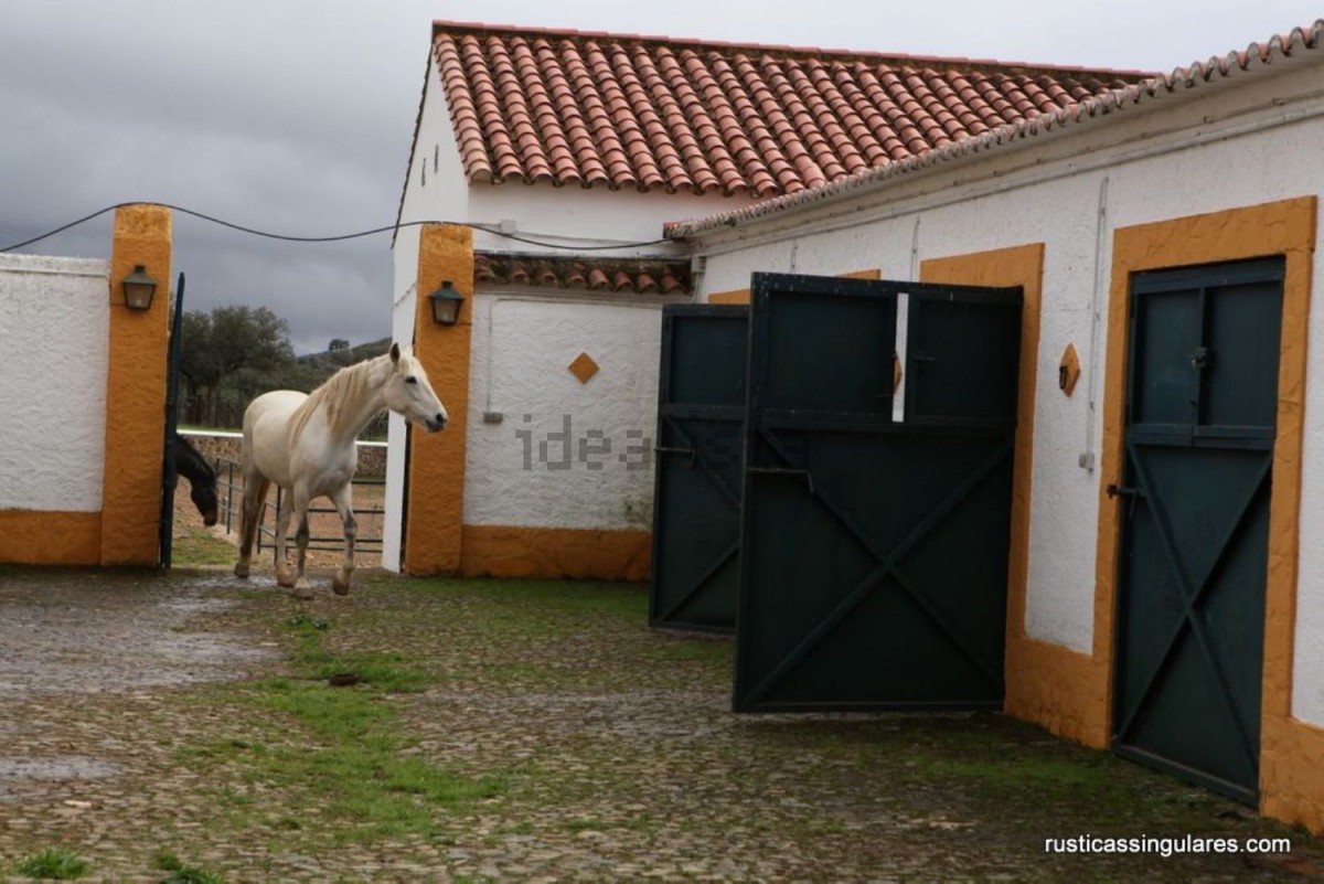 cortijo-sevilla-cuadra