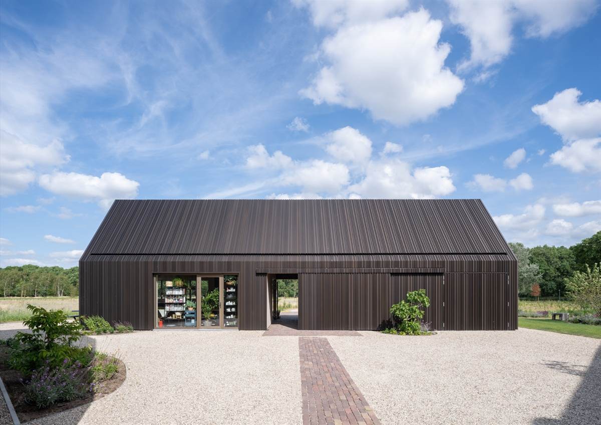 Está en pleno campo