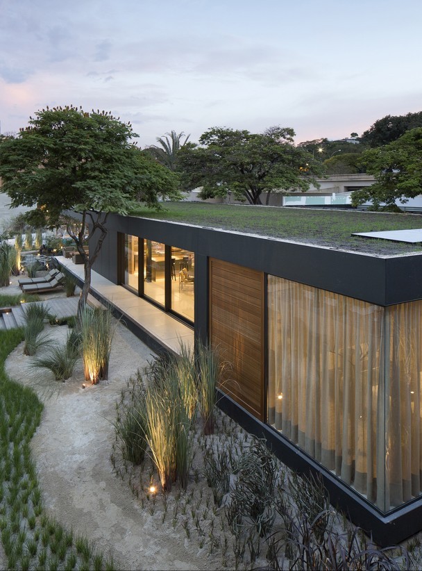 Con vegetación hasta en el tejado