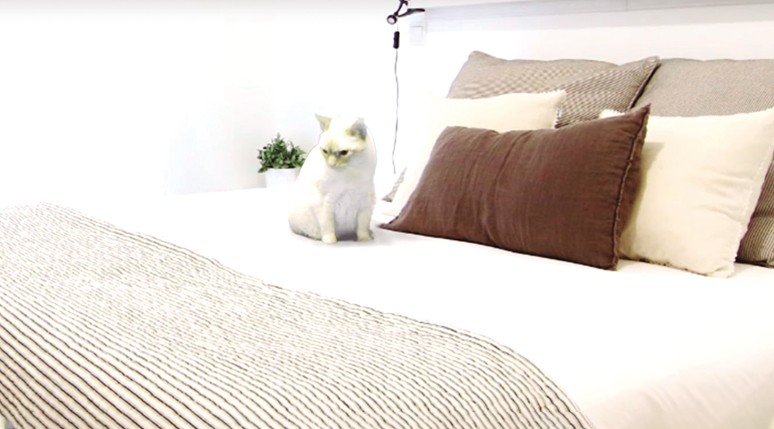 Trucos para hacer las mejores fotos y vídeos de la casa que quieres vender