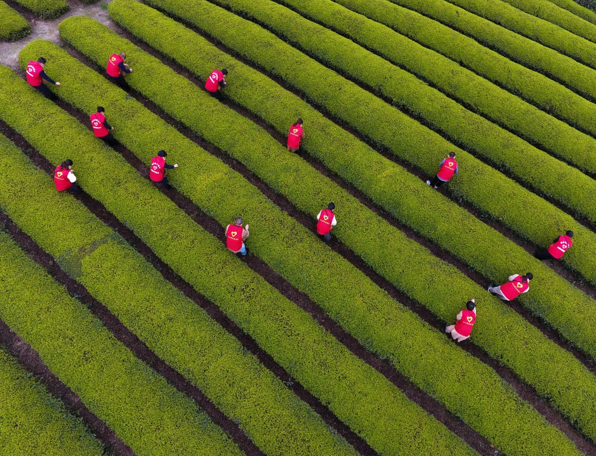 Los agricultores advierten de una escasez de alimentos frescos si no se recolectan a tiempo