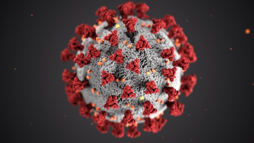 Die Coronavirus-Fälle in Spanien nehmen weiter zu / Foto von CDC auf Unsplash