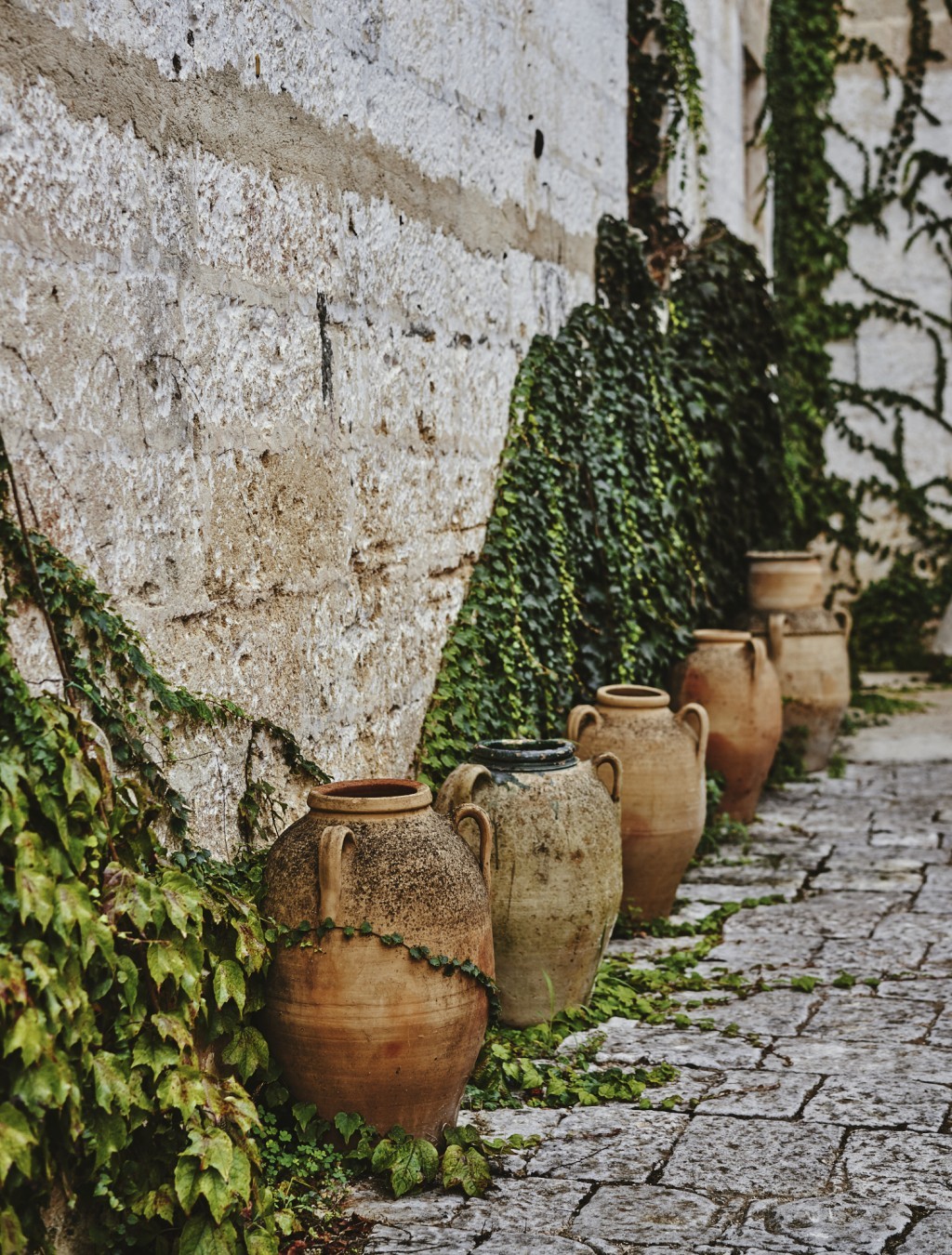 Unos botijos junto a las enredaderas