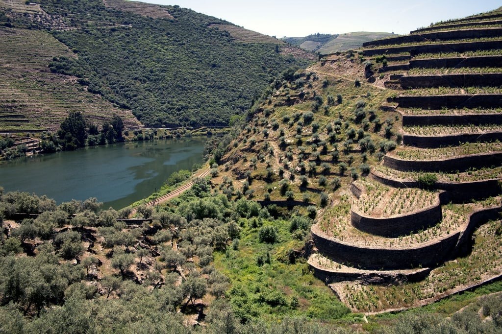 Abanca compra la histórica finca Quinta da Boavista para reforzar su inversión vitivinícola en Portugal