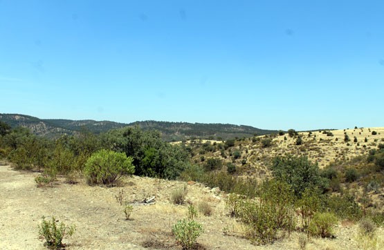 En venta 1.500 suelos para levantar chalets por particulares o promotores locales
