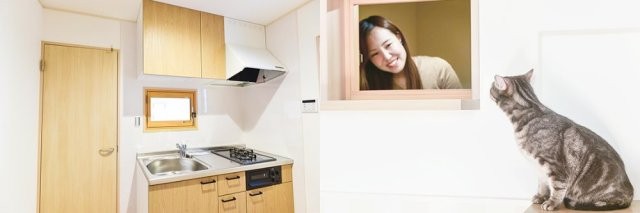 Pisos de alquiler para solteros con gato, la última moda inmobiliaria en Japón