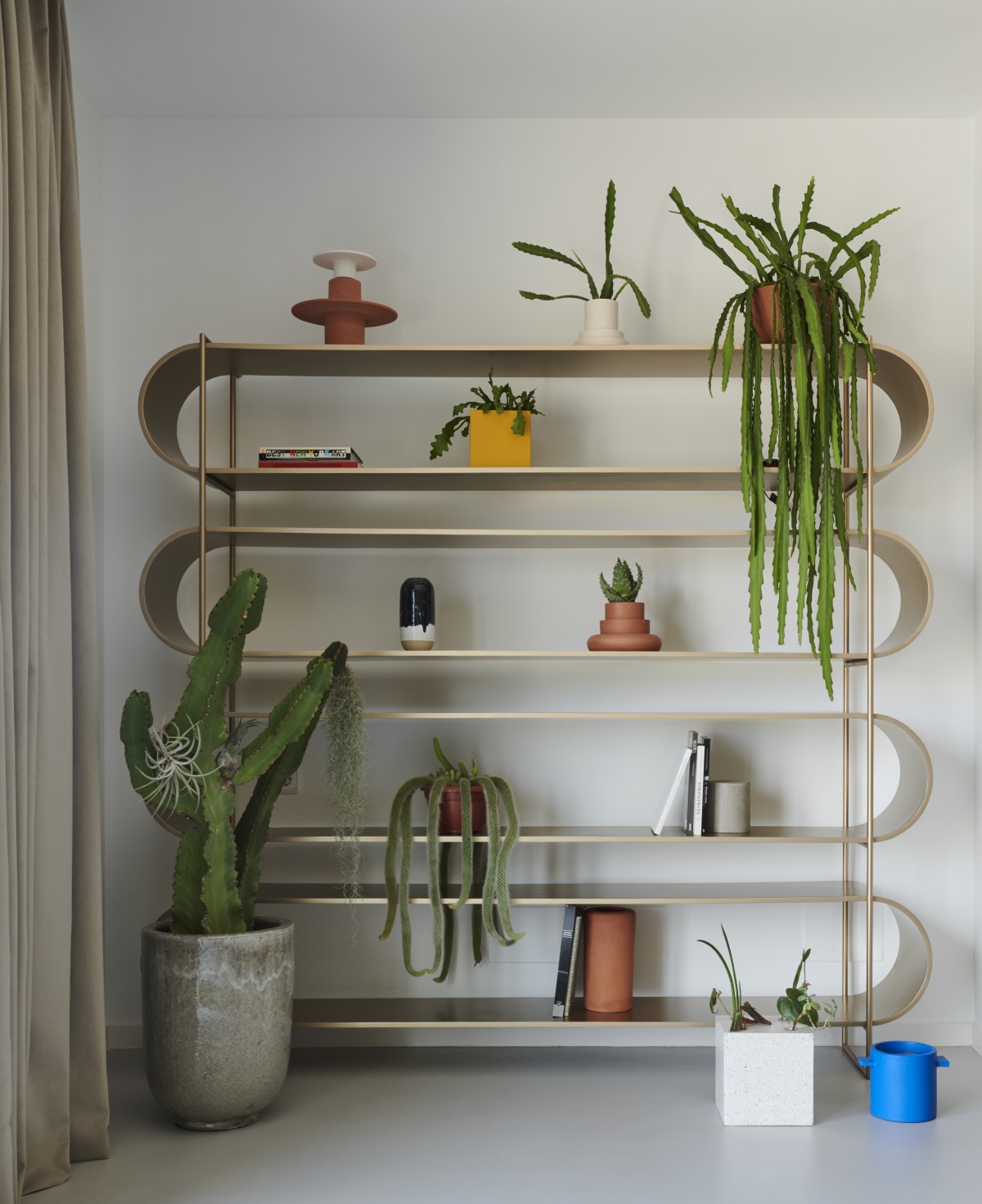 Abierta y con muchas plantas