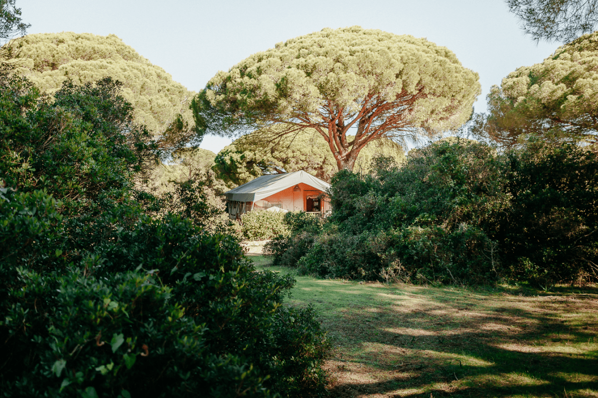 Enjoy an alternative holiday in Spain this summer / jabalina.es