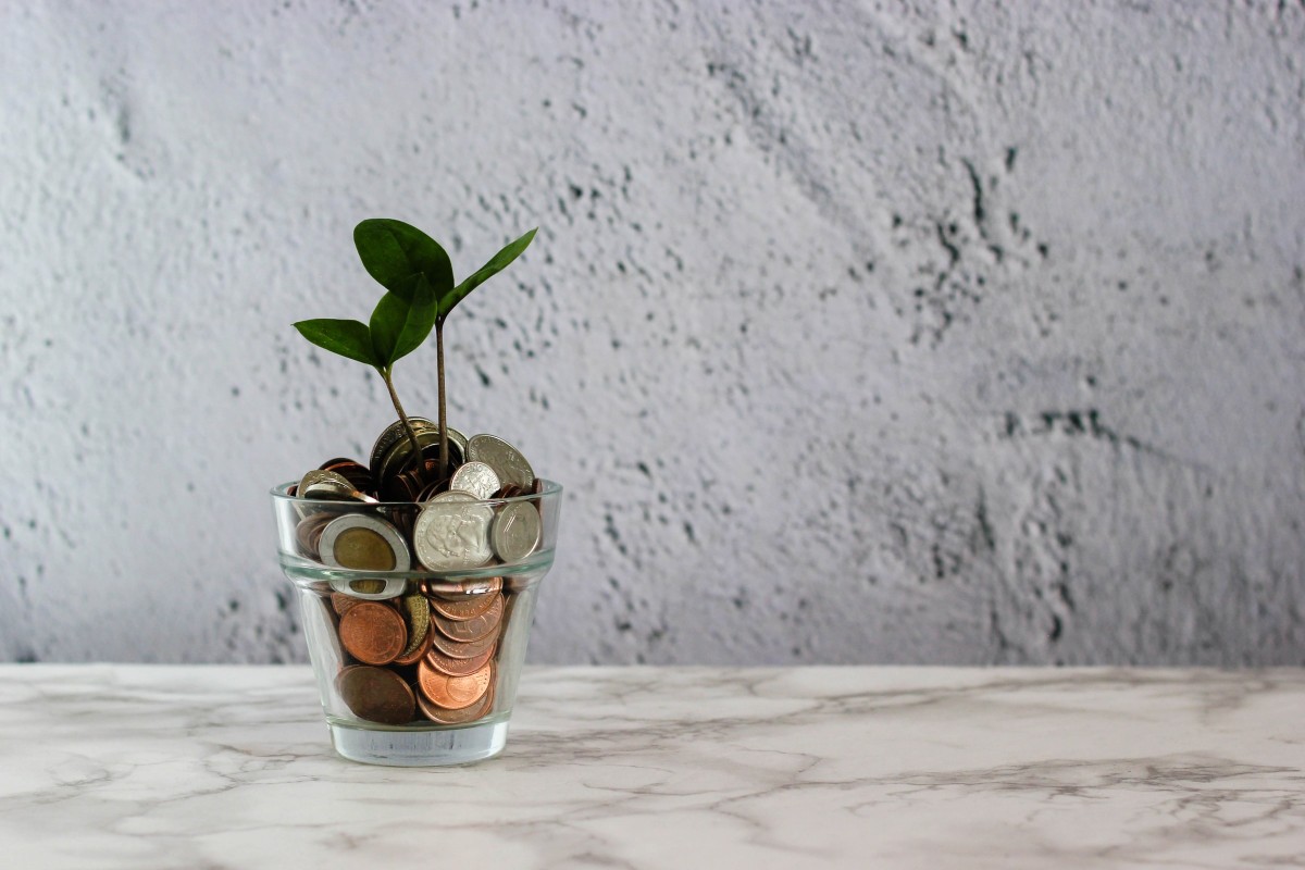 Photo by Micheile Henderson on Unsplash Photo by Micheile Henderson on Unsplash