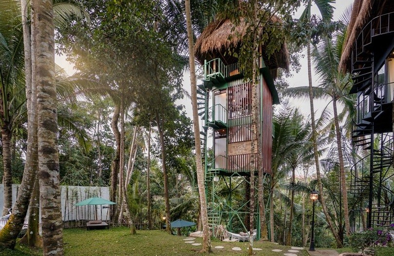 Rodeadas de árboles