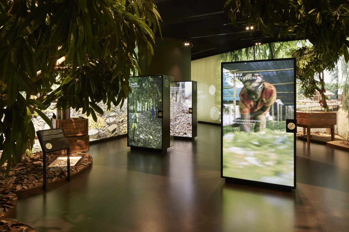 lindt_home_of_chocolate_kakaoanbau